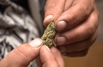 Smoke clears, pot cafes approved in Massachusetts