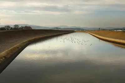 Trump's plan to pump more water in California is ill-conceived and harmful, lawmakers say