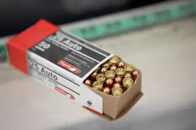 ‘Freedom week’: California gun owners raced to buy ammunition after court ruling