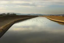 Trump's plan to pump more water in California is ill-conceived and harmful, lawmakers say