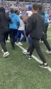 Bills-Panthers game ends in chaos as players clash on field in fiery scene